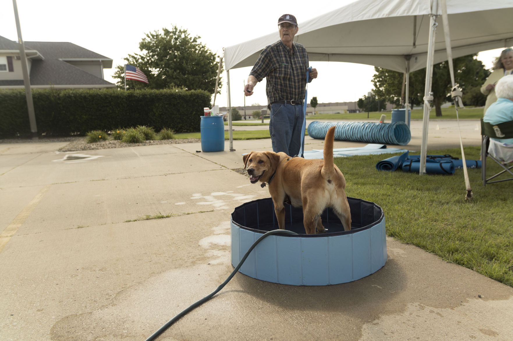 Mr. Dexter takes a dip in the pool while owner Dave Shimmin watches